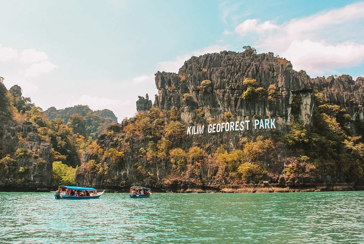 Jelajahi Ekosistem Mangrove yang Memesona di Langkawi